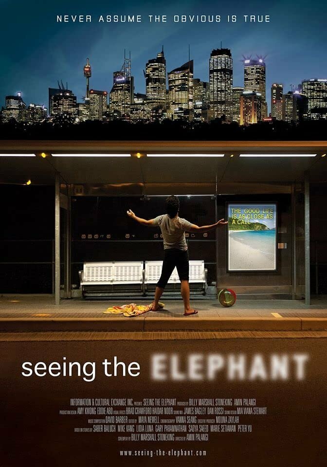 Seeing the Elephant