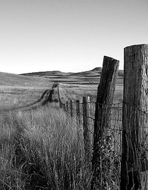 A Home Out West