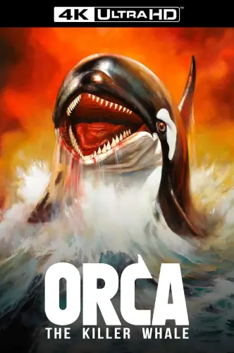 Orca