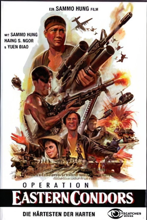 Operation Eastern Condors