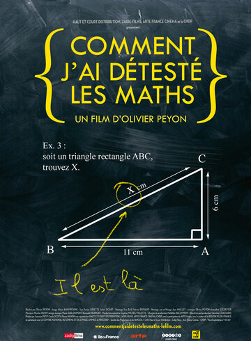 Wie ich Mathe gehasst hab'!
