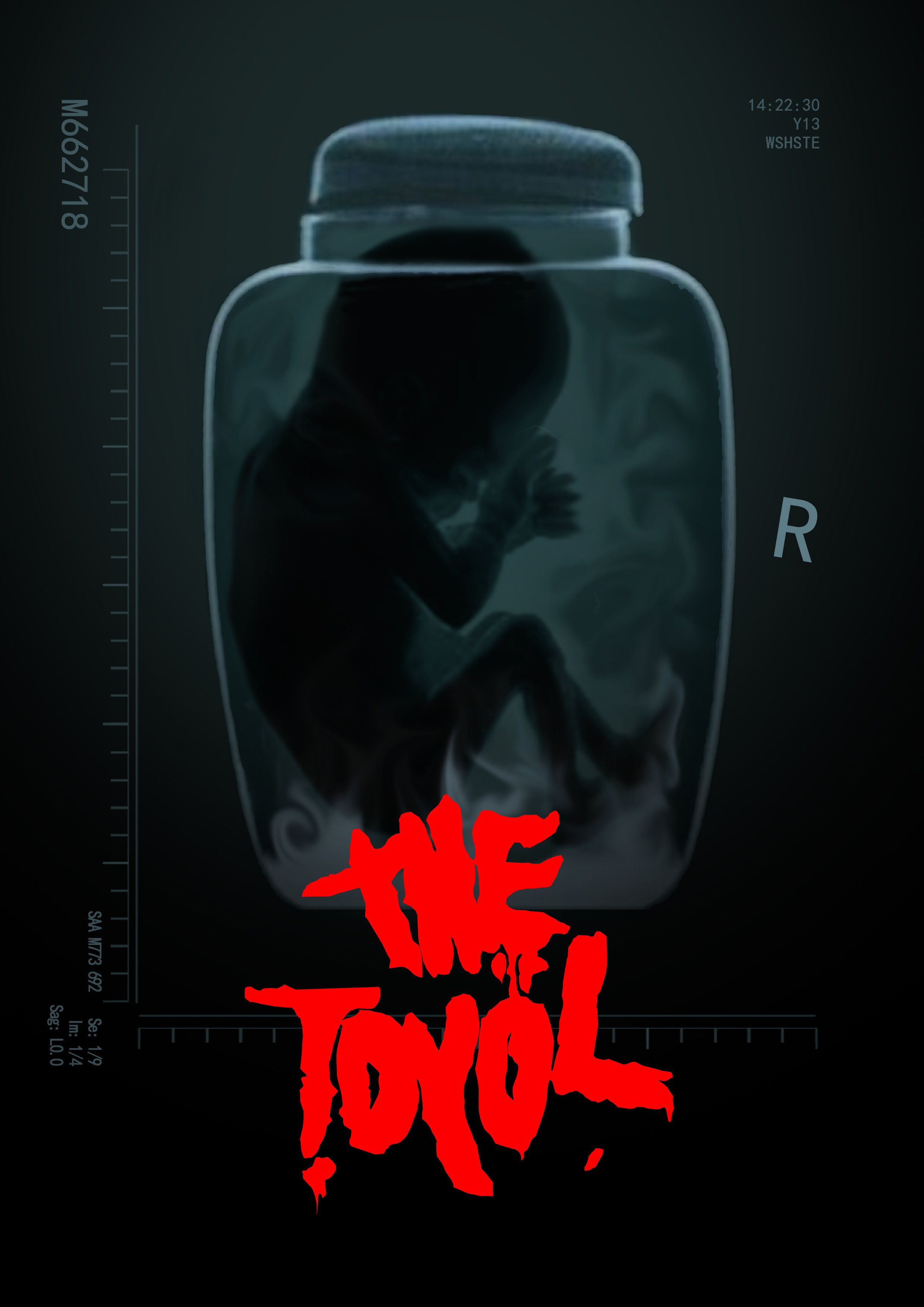 The Toyol
