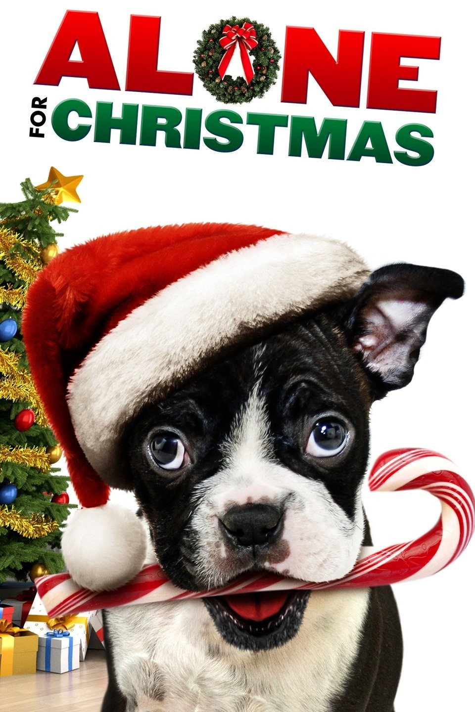 Alone for Christmas