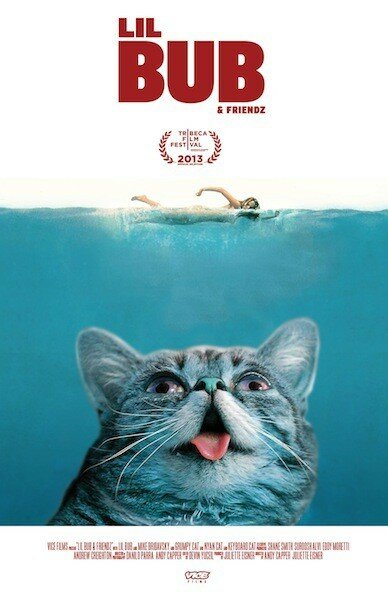 Lil Bub & Friendz