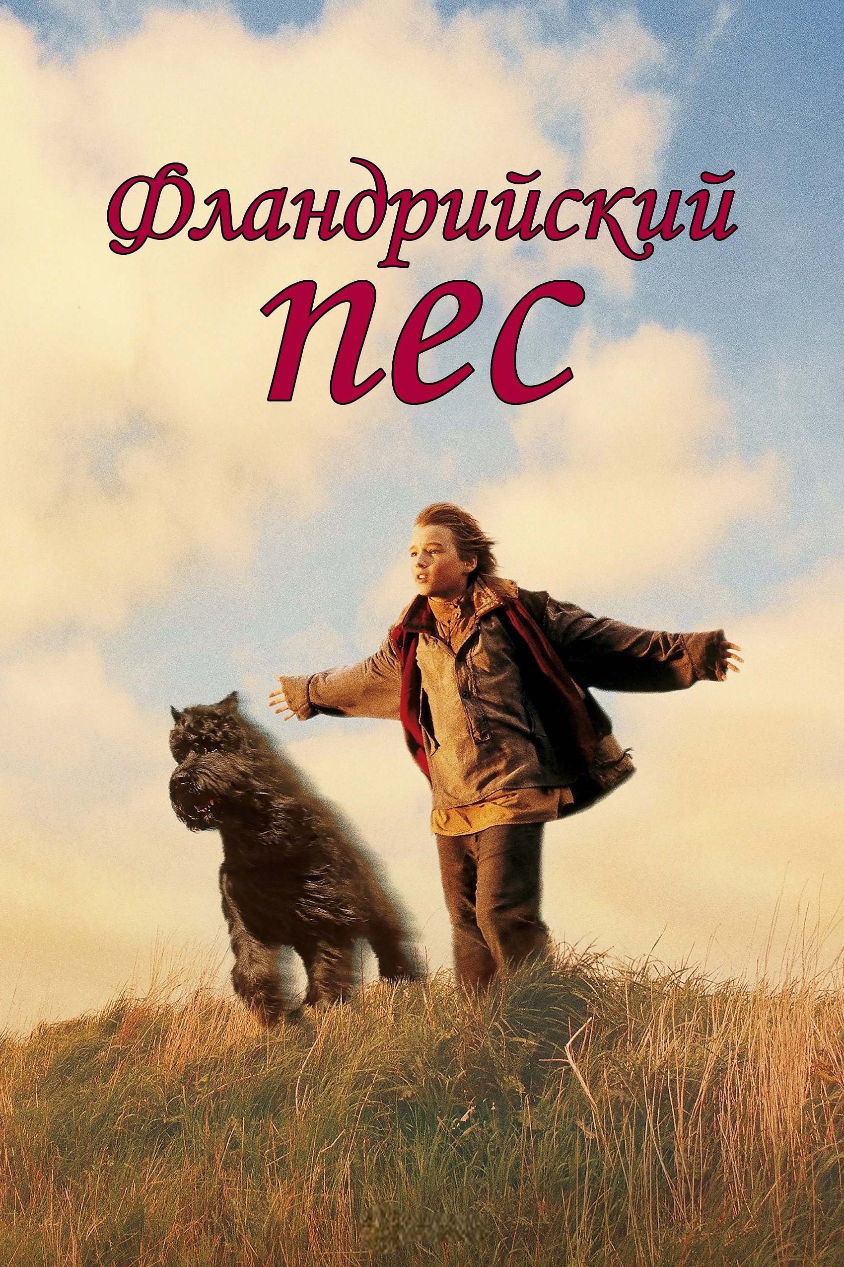 Фландрийский пес