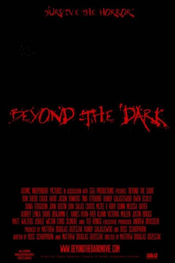 Beyond the Dark