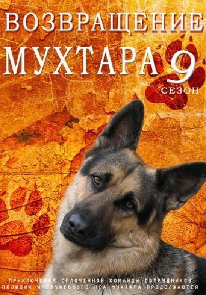 Повернення Мухтара 9