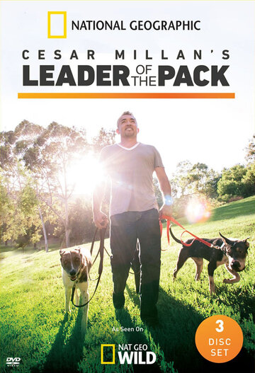 Cesar Millan Auf den Hund gekommen