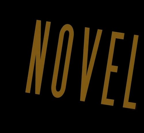 Novel