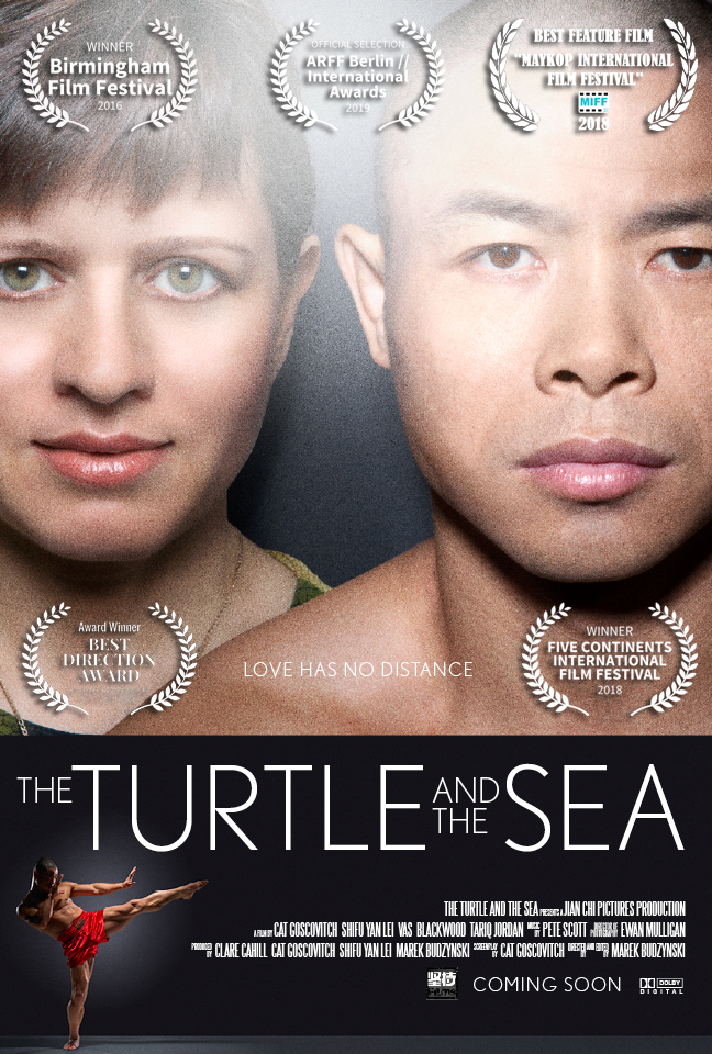 The Turtle and the Sea