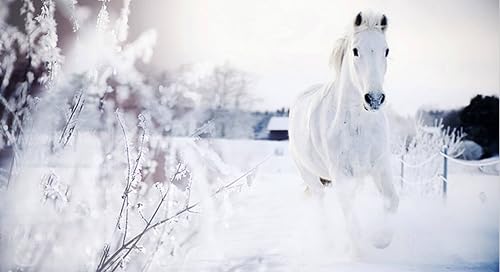 The White Horse of St. Charles