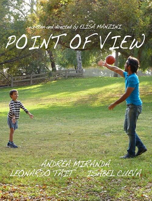 Point of View