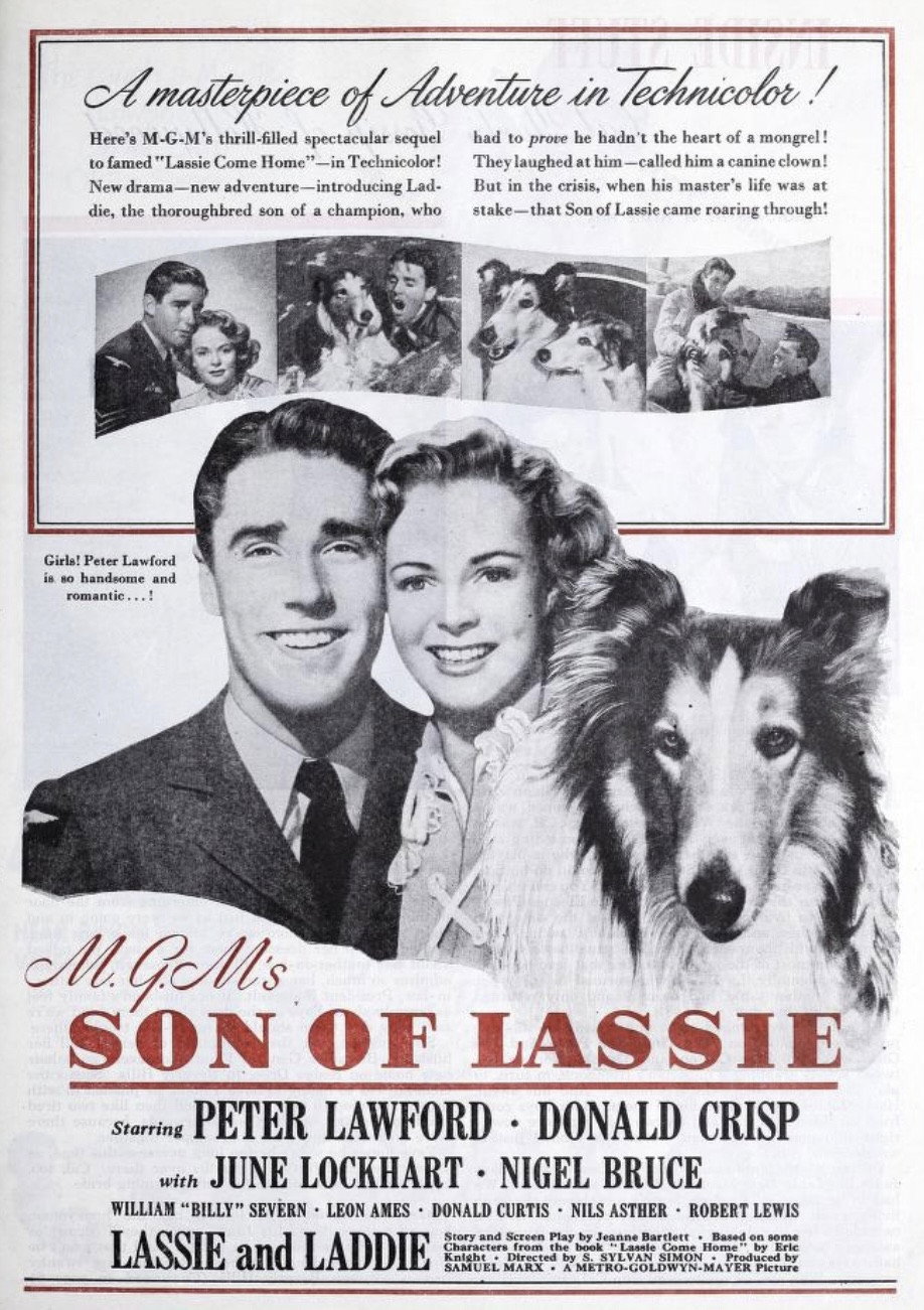 Son of Lassie