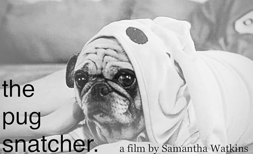 The Pug Snatcher