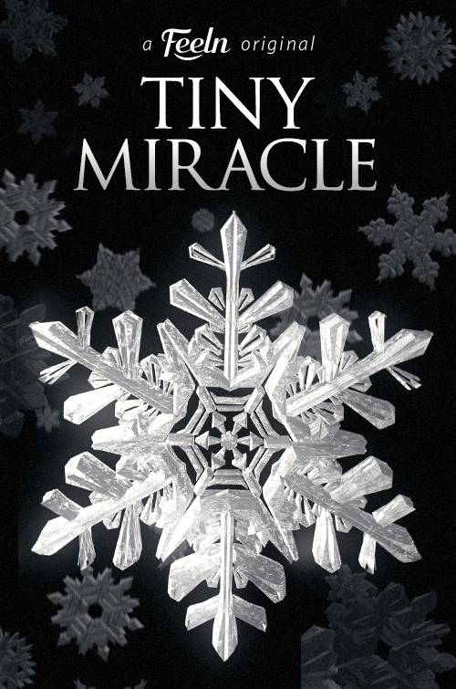 Tiny Miracle