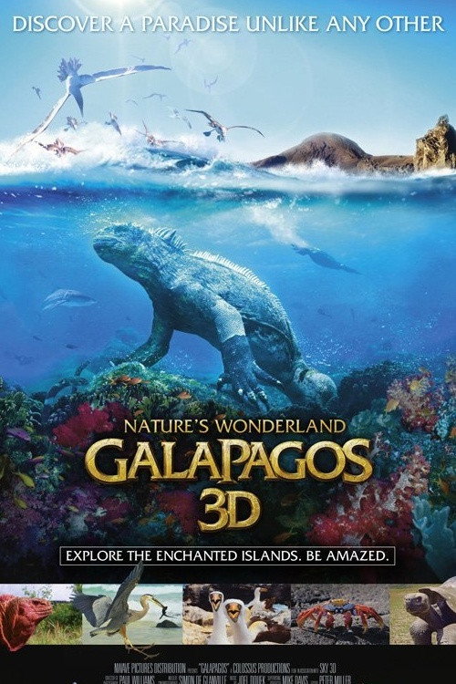 Galapagos 3D - Wunderland der Natur