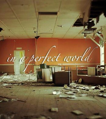 In a Perfect World...