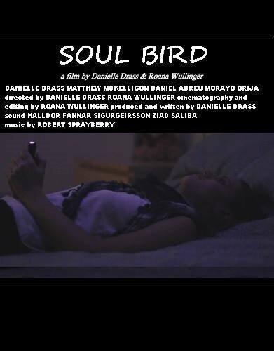 Soul Bird