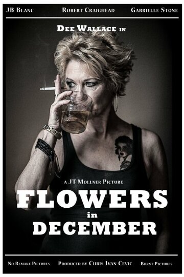 Flowers in December