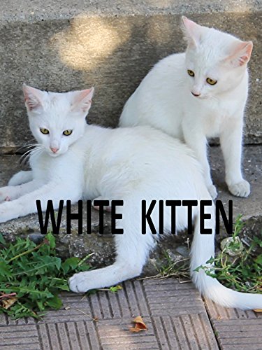 La gatita blanca