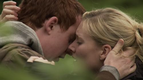 The Ferns