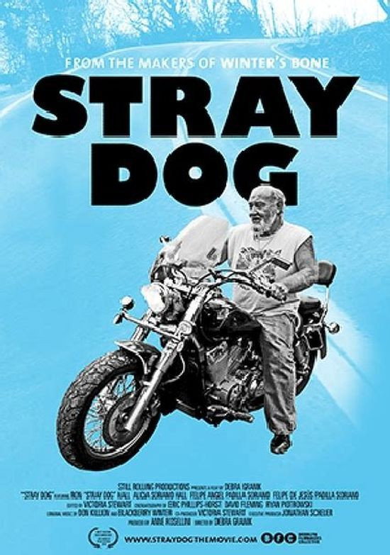 Stray Dog