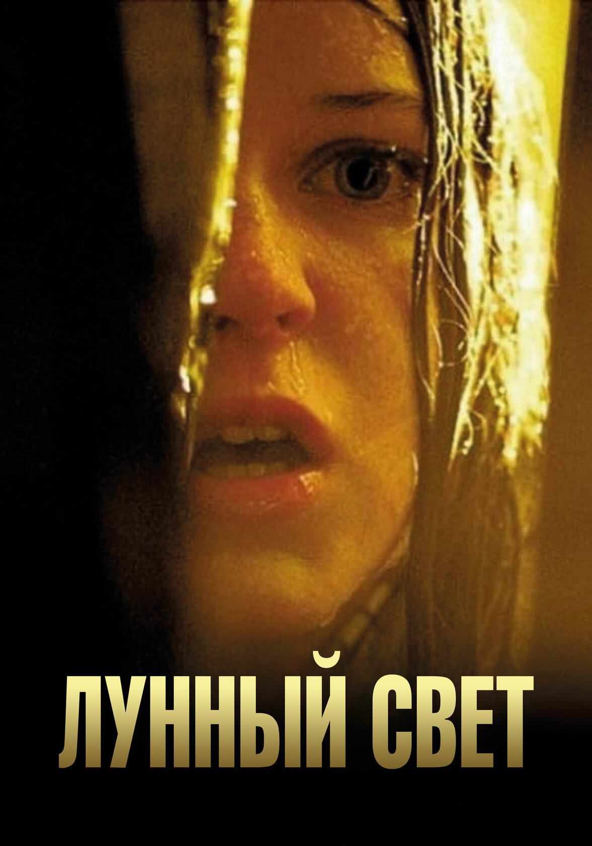 Лунный свет