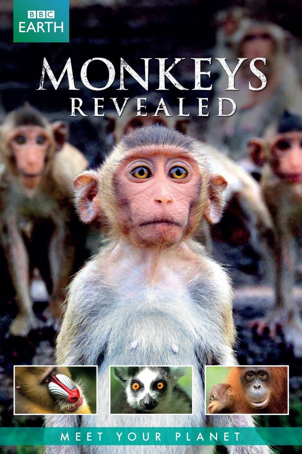 Monkey Planet