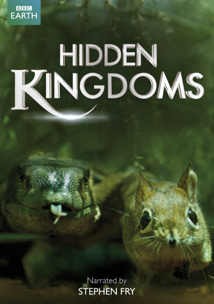 Hidden Kingdoms - Im Reich der kleinen Tiere