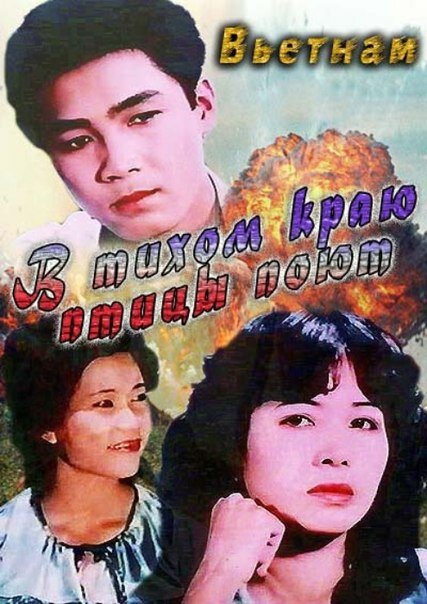 Noi binh yen chim hot