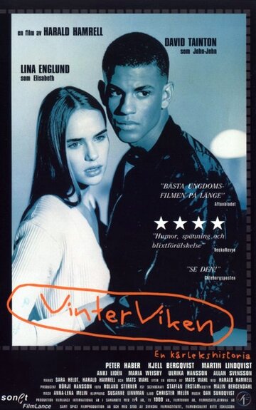 Vinterviken