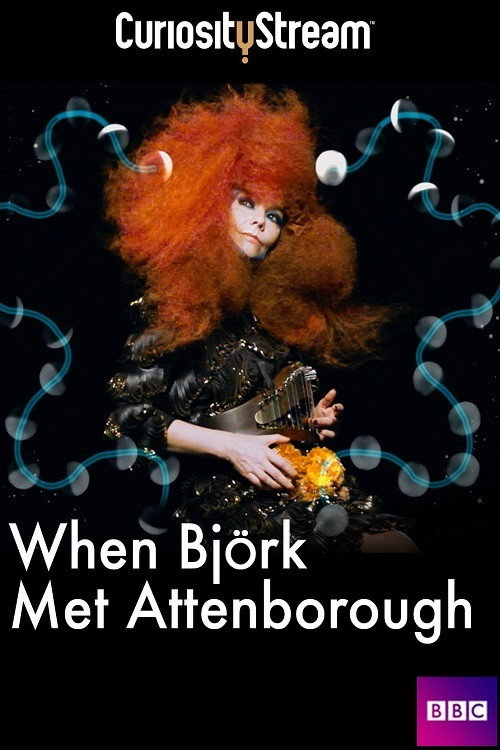 When Björk Met Attenborough