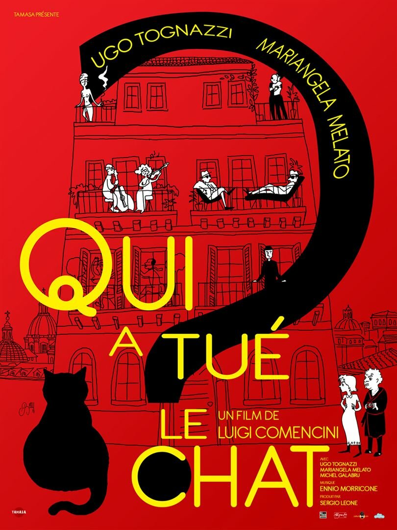 Il gatto