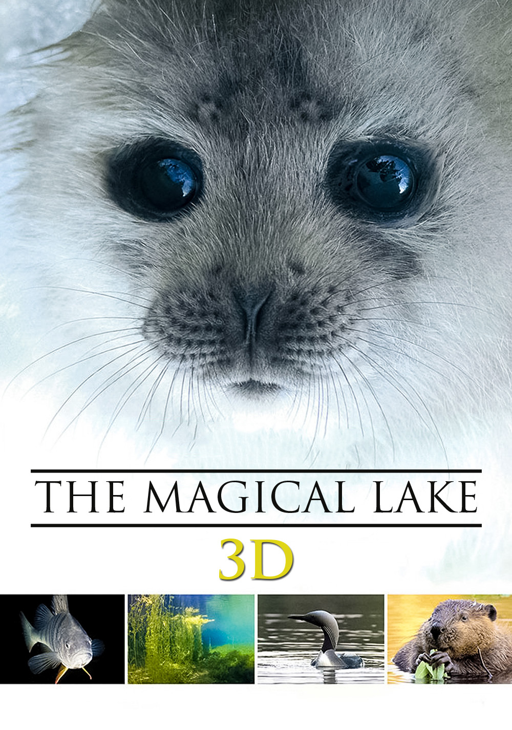 Tale of a Lake