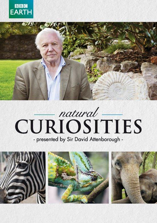 Natural Curiosities