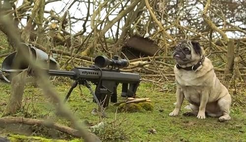 Sniper Pug