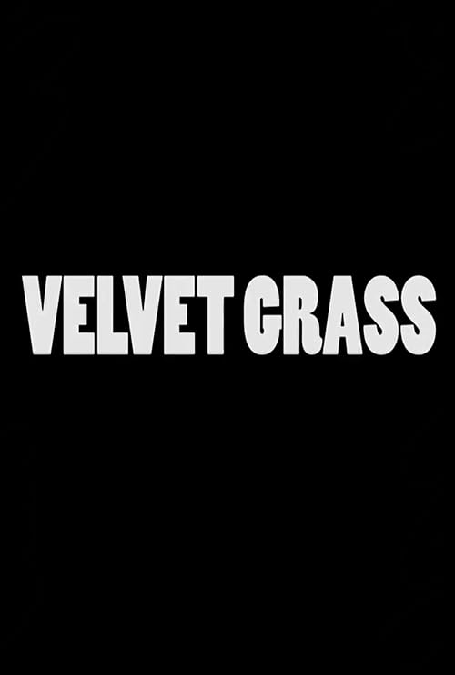 Velvet Grass