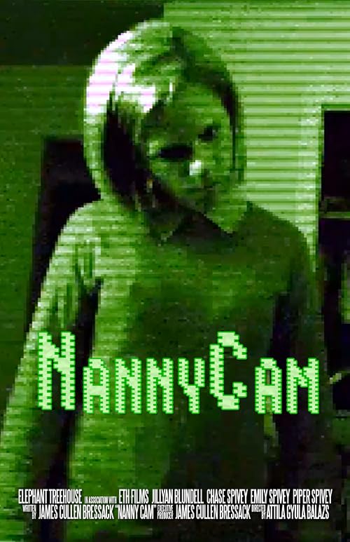Nanny Cam