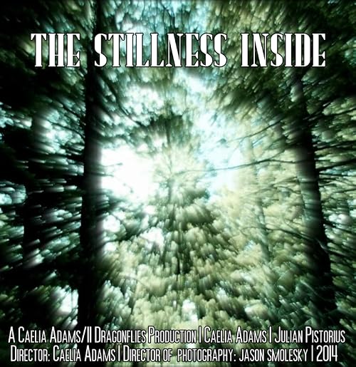 The Stillness Inside