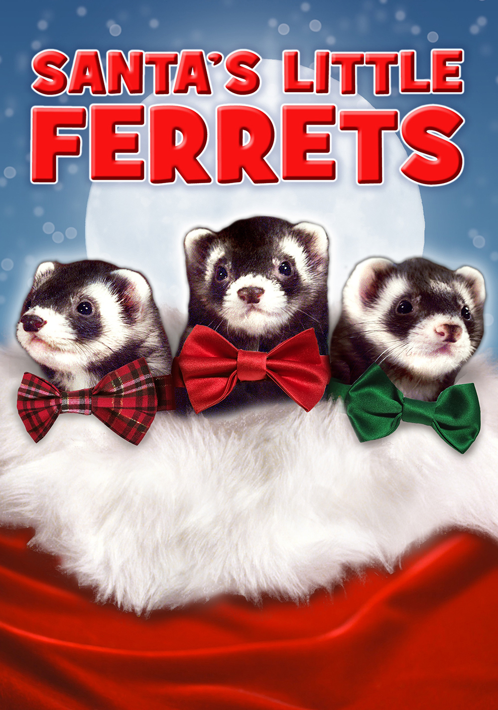 Santa's Little Ferrets