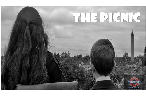 The Picnic