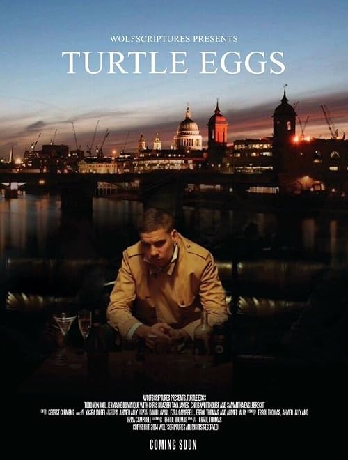 Turtle Eggs