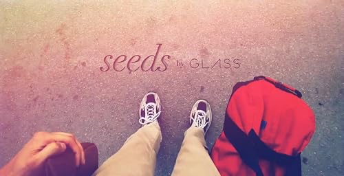 Google Glass: Seeds