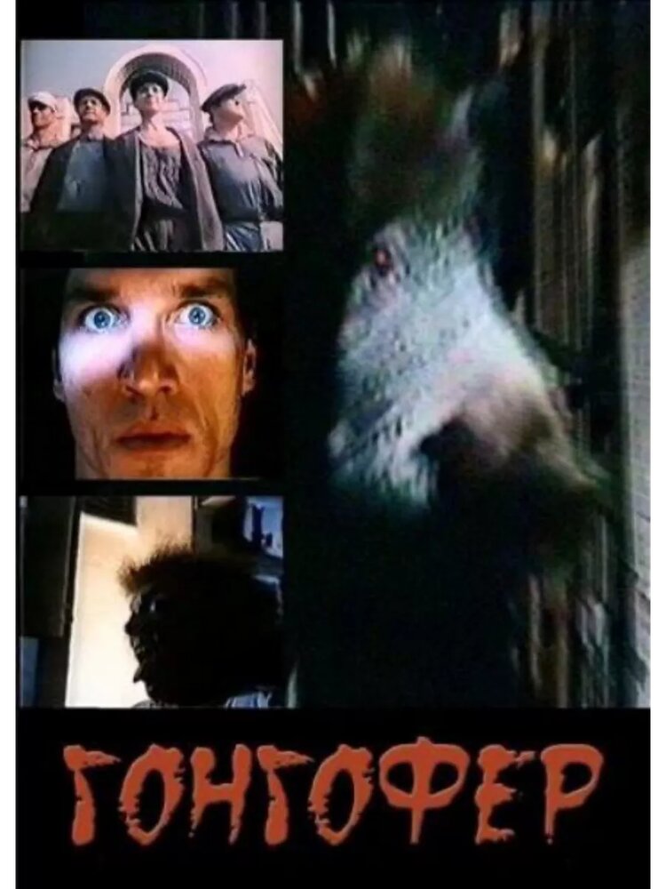 Гонгофер