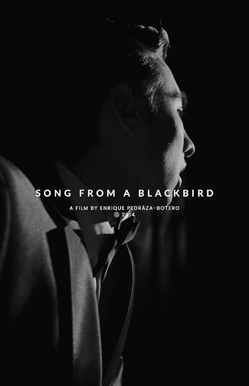 Song from a Blackbird