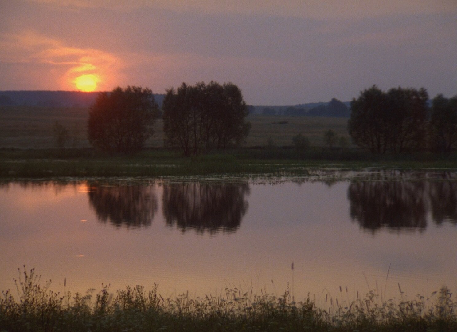 Сны — кадр 2
