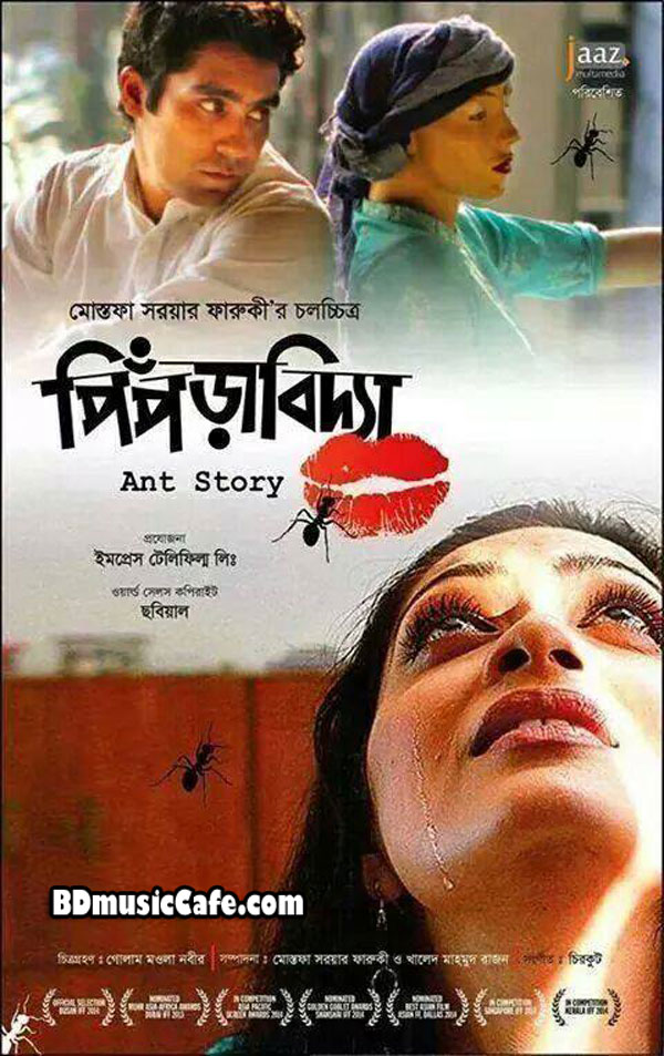 Ant Story