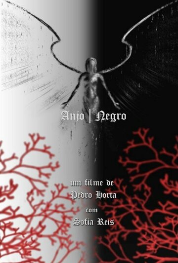 Anjo (Negro)