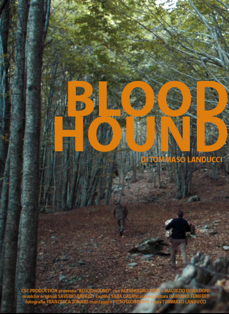 Bloodhound
