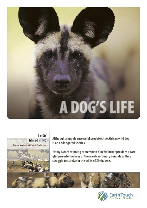 A Dog's Life